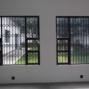 Incredibledoor-resize2